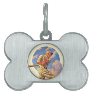 Placa Para Mascotas Talud del béisbol