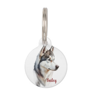 Placa Para Mascotas Tazón con nombre personalizado para perro