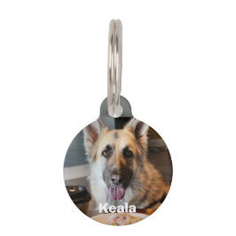Placa Para Mascotas ¿Te conseguiste algo?