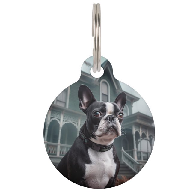 Placa Para Mascotas Temeroso susto de Halloween en Boston Terrier (Anverso)