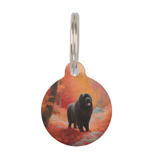 Placa Para Mascotas Terranova en Otoño Las Hojas Caídas Inspiran