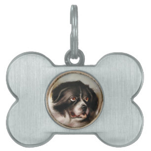 Placa Para Mascotas Terrier de Terranova Miniatura