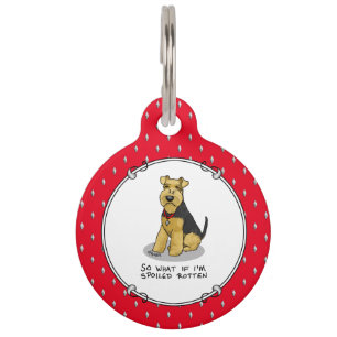 Placa Para Mascotas Terrier Galés Malcriado - Lindo