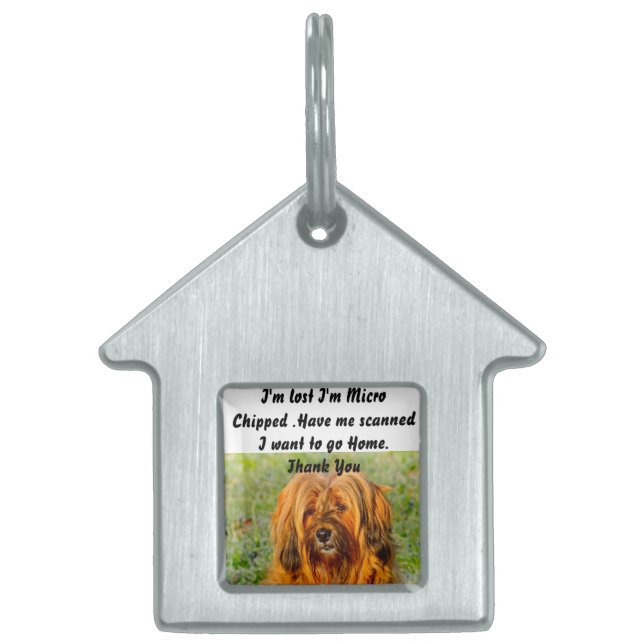 Placa Para Mascotas Terrier Tibetano (Frente)