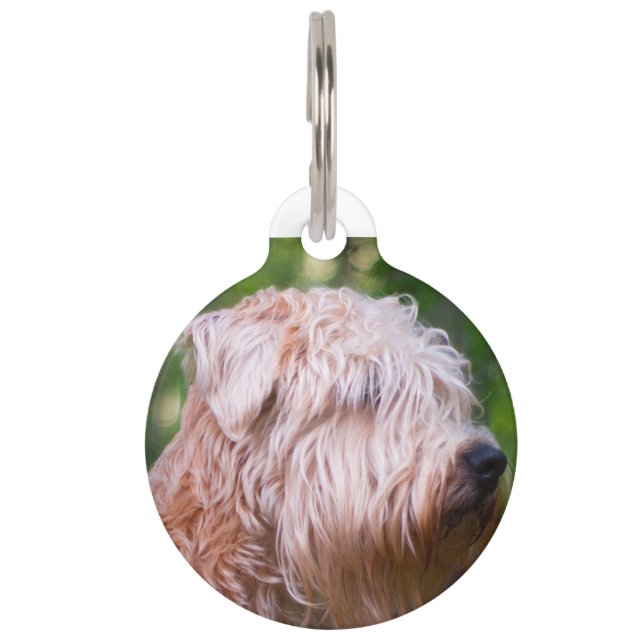 Placa Para Mascotas Terrier Trigo (Anverso)