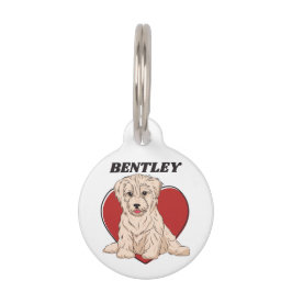 Placa Para Mascotas Texto personalizado de Personalizado de taxista de