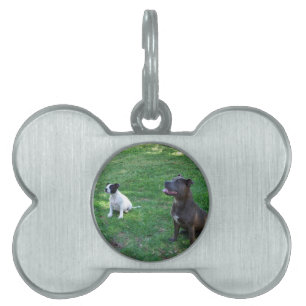 Placa Para Mascotas Tiempo de tratamiento de Staffordshire Bull Terrie