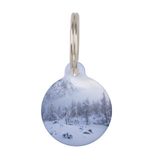 Placa Para Mascotas Tierras maravillosas del invierno, niebla, bosque 