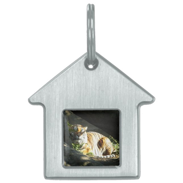 Placa Para Mascotas Tiger Catnap (Frente)