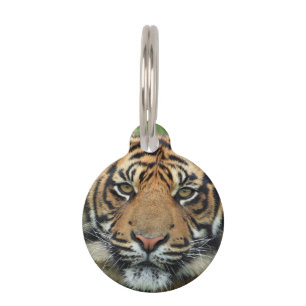 Placa Para Mascotas Tigre