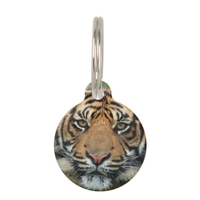 Placa Para Mascotas Tigre (Anverso)