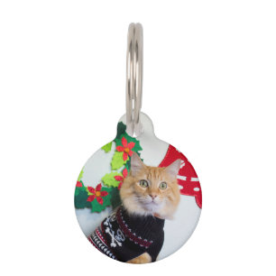 Placa Para Mascotas Tipo de Maine I
