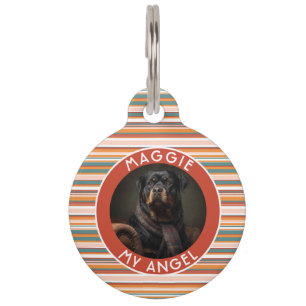 Placa Para Mascotas Tiras de regalo temáticas para mascotas coloridas 