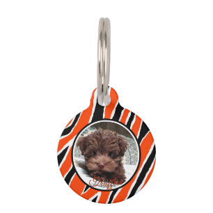 Placa Para Mascotas Tiras de tigre apilables - Naranja/negro