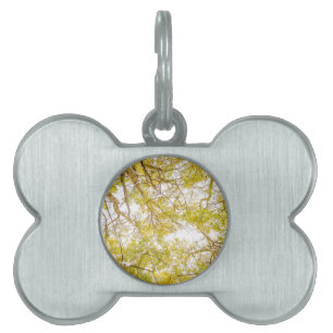 Placa Para Mascotas Toldo de bosque de oro de Aspen