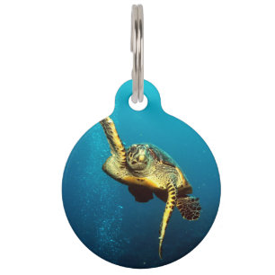 Placa Para Mascotas Tortuga de mar que nada bajo el agua