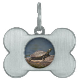 Placa Para Mascotas Tortuga pintada en un tronco