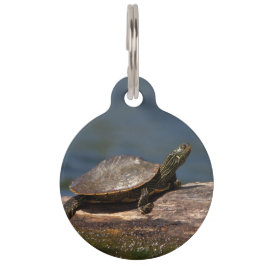 Placa Para Mascotas Tortuga pintada en un tronco