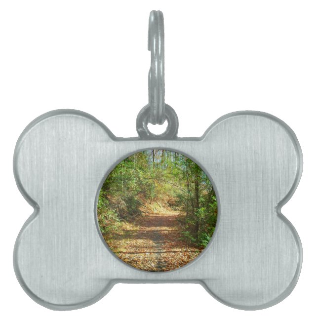 Placa Para Mascotas Trail Forestal Sunlit Autumn (Frente)