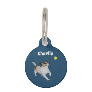 Placa Para Mascotas Trance de bolas de Fox Terrier, etiqueta de mascot