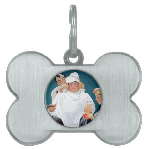 Placa Para Mascotas Tratamiento completo