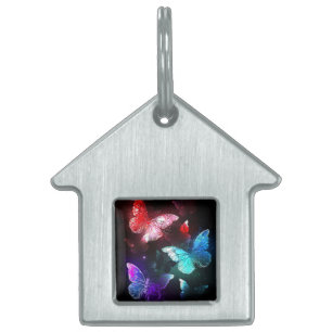 Placa Para Mascotas Tres mariposas brillantes en el fondo nocturno