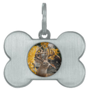 Placa Para Mascotas Trophy Deer
