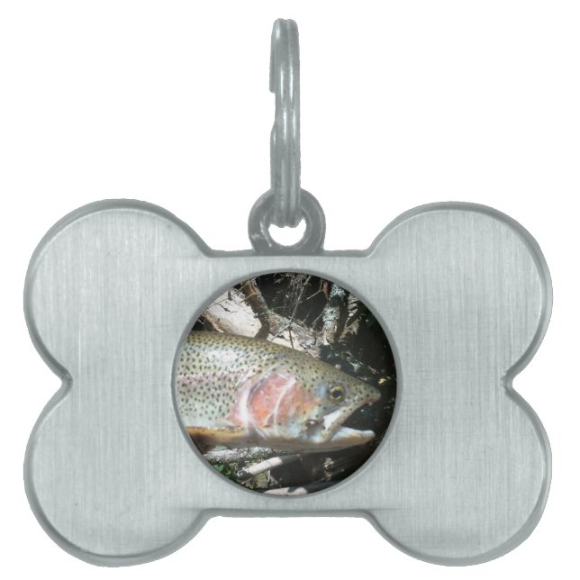 Placa Para Mascotas Trucha arco iris (Frente)
