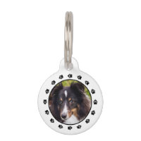 Tu foto de mascota personalizada con huellas y dat