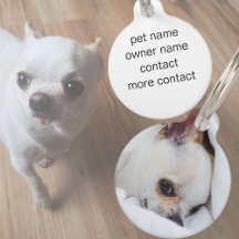 Tu mascota perro cachorro personalizado foto chihu