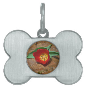 Placa Para Mascotas Tulip rojo primavera