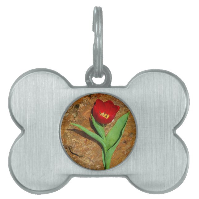 Placa Para Mascotas Tulipán amarillo y rojo (Frente)