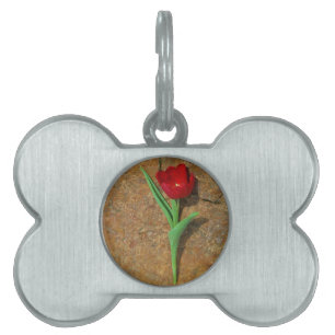 Placa Para Mascotas Tulipán rojo y amarillo