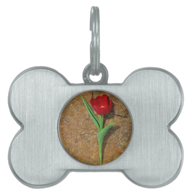 Placa Para Mascotas Tulipán rojo y amarillo (Frente)