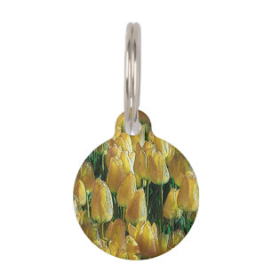 Placa Para Mascotas Tulipanes amarillos brillantes