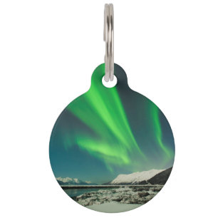Placa Para Mascotas Turnagain Arm Aurora