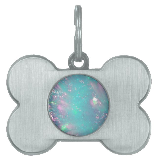 Placa Para Mascotas turquesa con una indirecta del rosa (Frente)