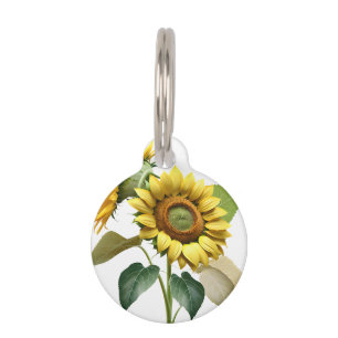 Placa Para Mascotas Two Vibrant Sunflowers with Lush Green Leaves