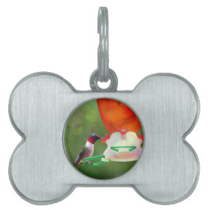 Placa Para Mascotas Un colibrí con trompetas de rubí