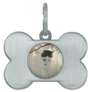 Placa Para Mascotas Un gato blanco y negro hermoso