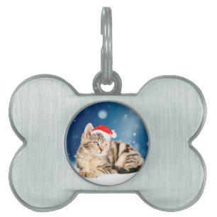 Placa Para Mascotas Un gato lindo que lleva un sombrero rojo de Santa