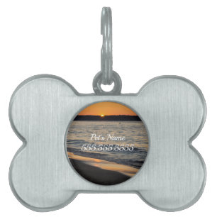 Placa Para Mascotas Una etiqueta de mascota para el atardecer
