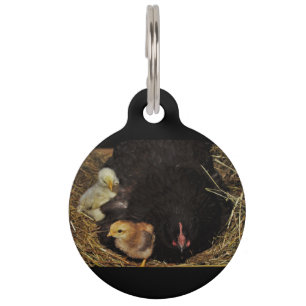 Placa Para Mascotas Una mamá y sus chichas