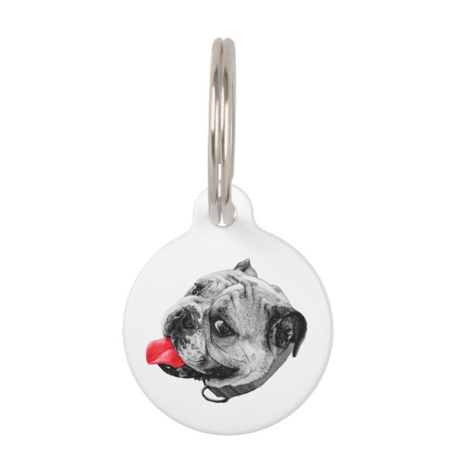 Placa Para Mascotas Una pequeña señal cálida (Anverso)
