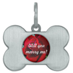Placa Para Mascotas "Usted me casará?" mensaje en rosa rojo