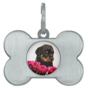 Placa Para Mascotas Valentine Rosa Rottweiler Puppy