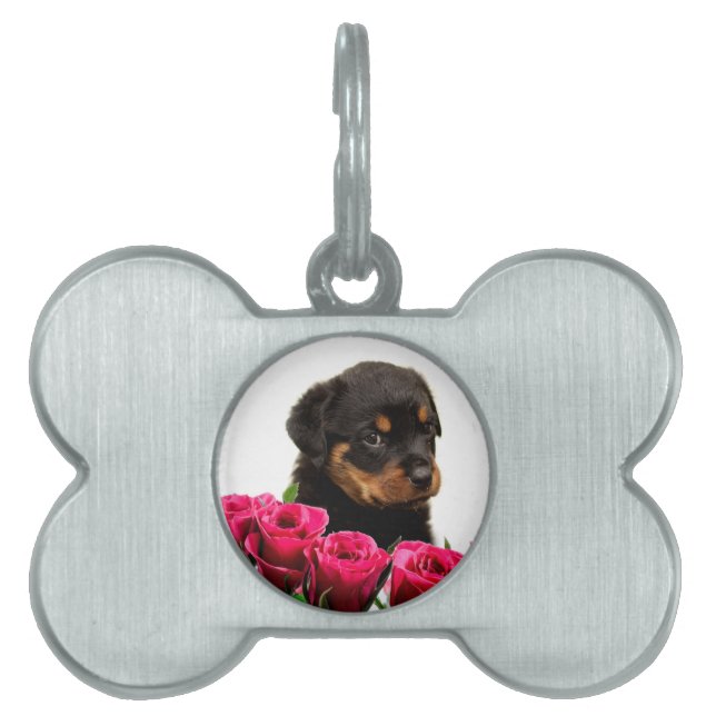 Placa Para Mascotas Valentine Rosa Rottweiler Puppy (Frente)