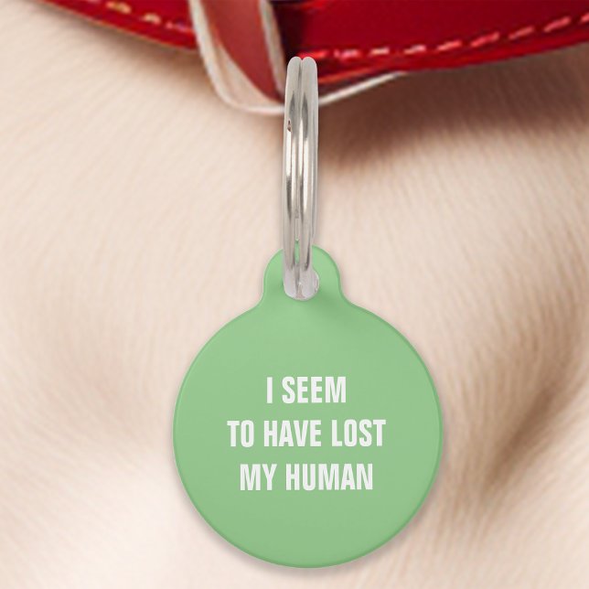 Placa Para Mascotas Verde Menta Parece que He Perdido a mi Humano Dive (Subido por el creador)