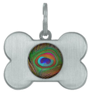 Placa Para Mascotas Vibrante pluma de cobre para pavo real