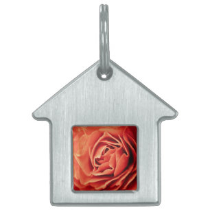 Placa Para Mascotas vida romántica